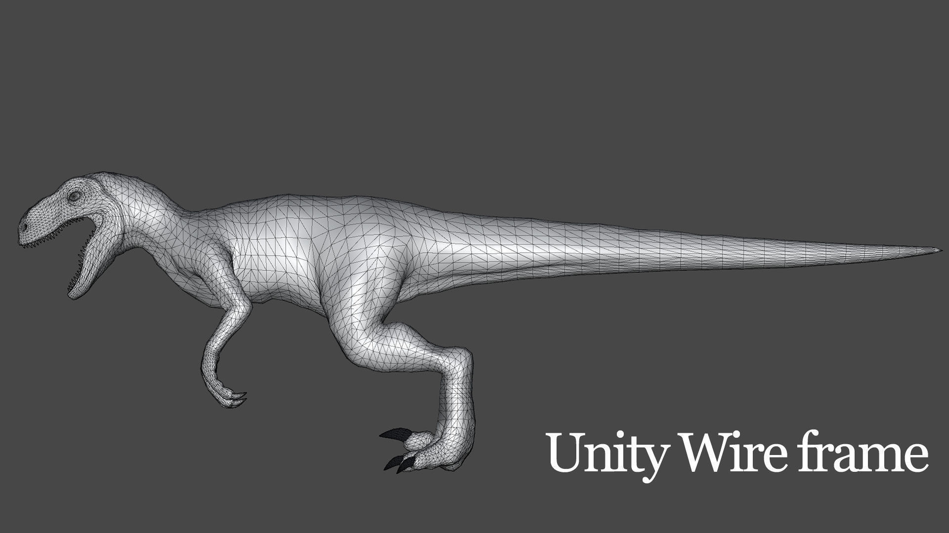Velociraptor Low-poly 3D model_8