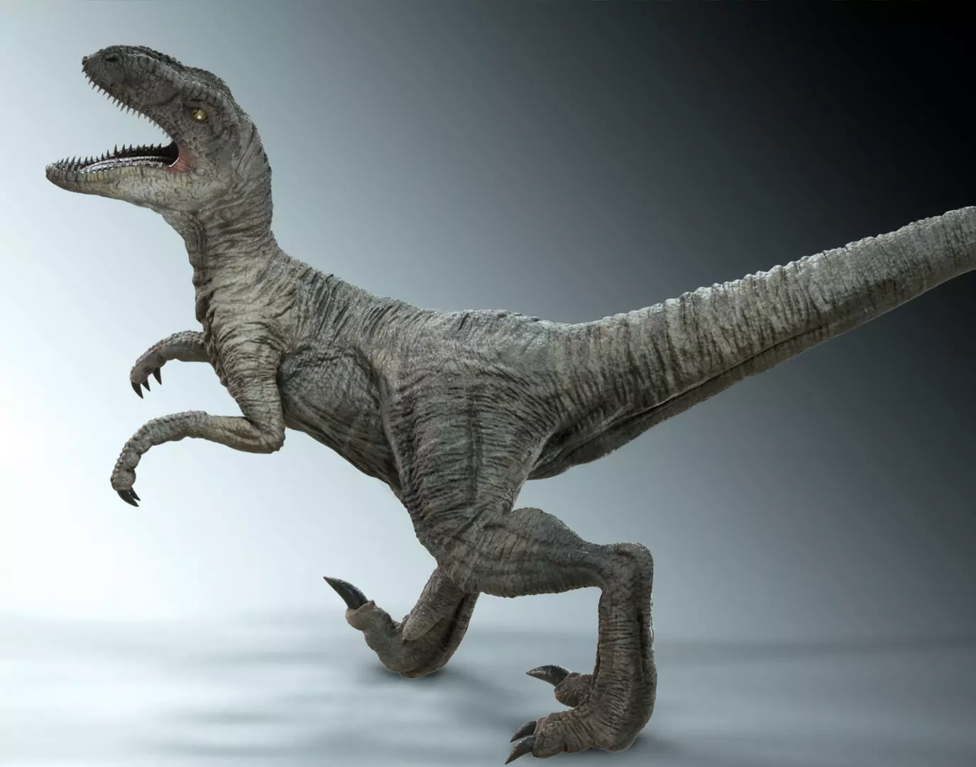 Velociraptor Low-poly 3D model_0