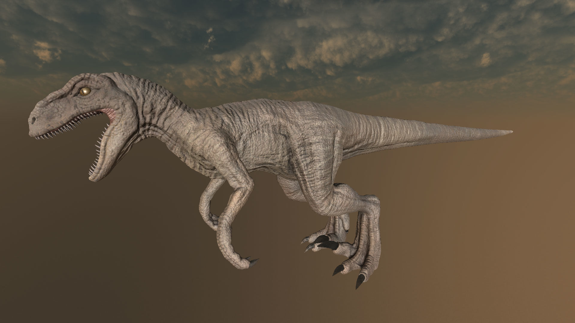 Velociraptor Low-poly 3D model_6
