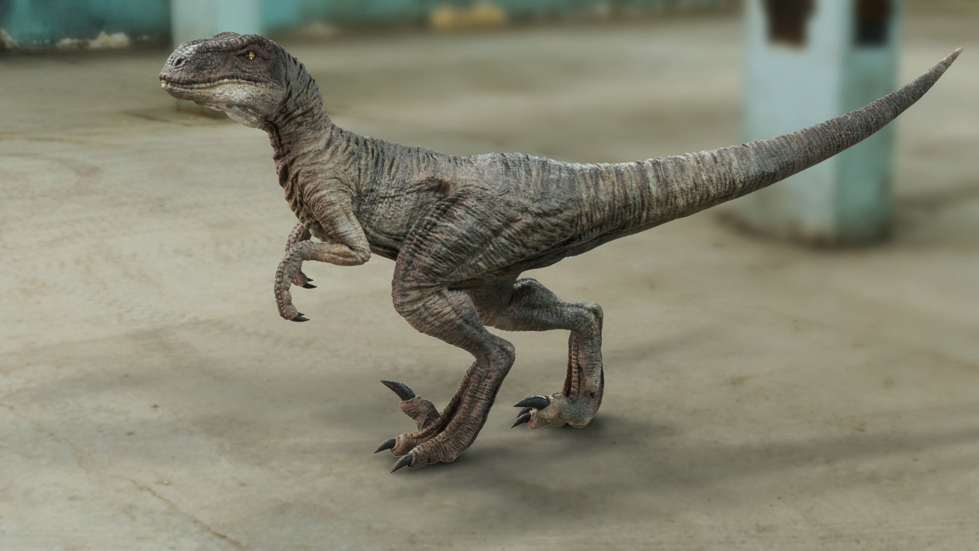 Velociraptor Low-poly 3D model_1