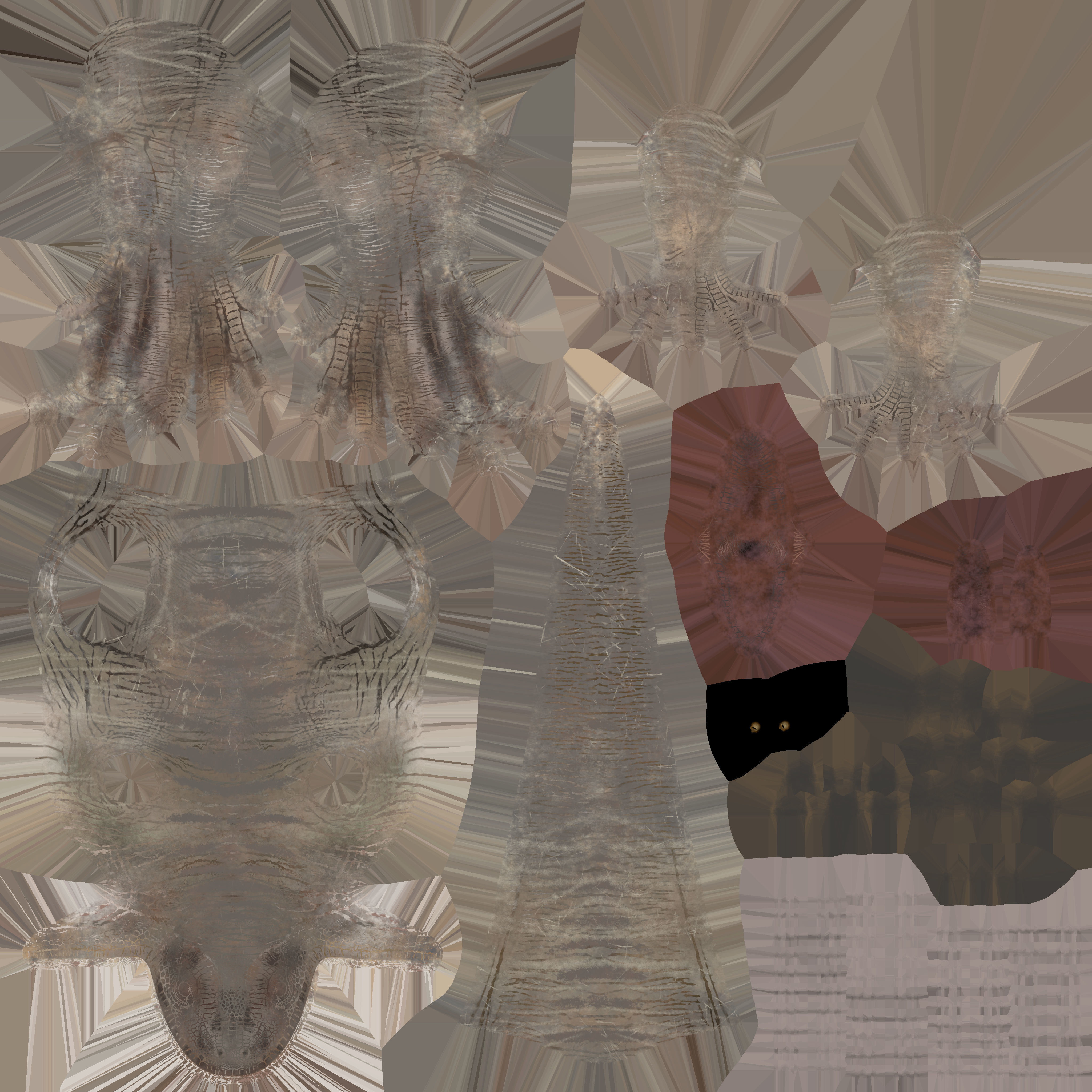 Velociraptor Low-poly 3D model_9