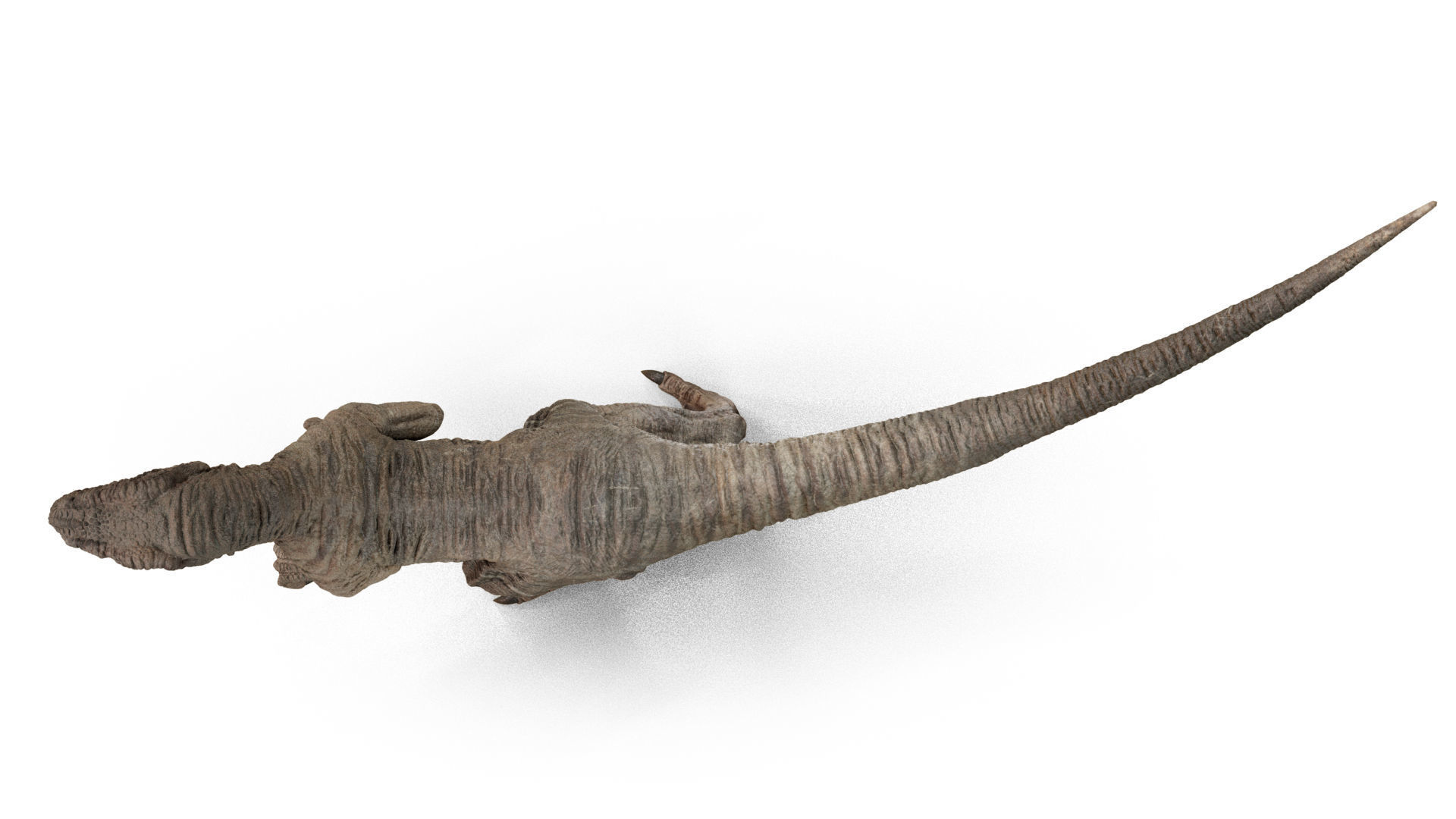 Velociraptor Low-poly 3D model_3