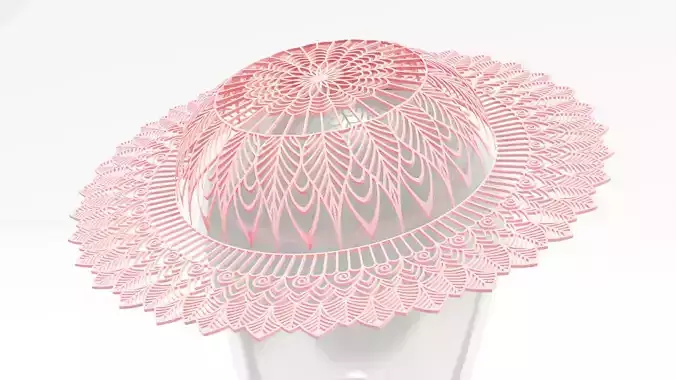 Womans Lace Hat