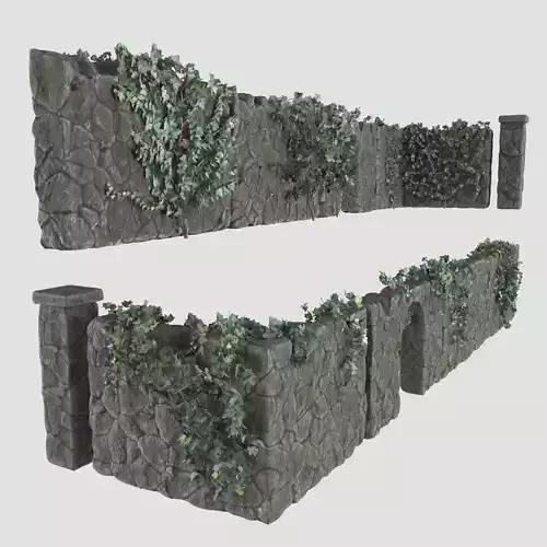 Stone wall with ivy