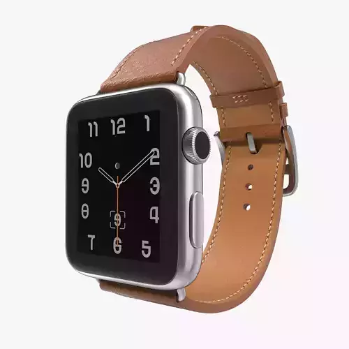 Apple Watch Hermes 42mm Stainless Steel Case