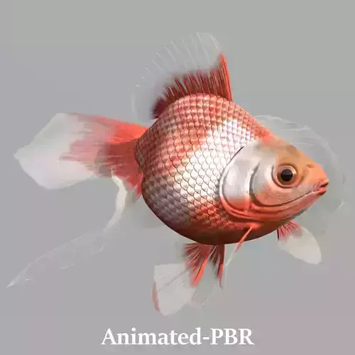 Goldfish Low-poly 3D model