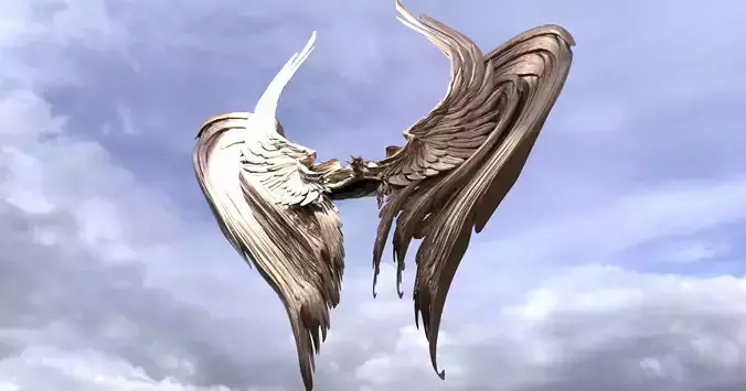 Curved Nephilim Wings 3D model