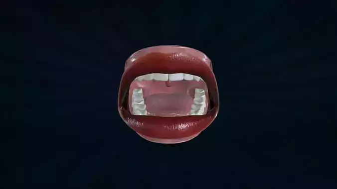 LIPS-005 Rigged Woman Mouth