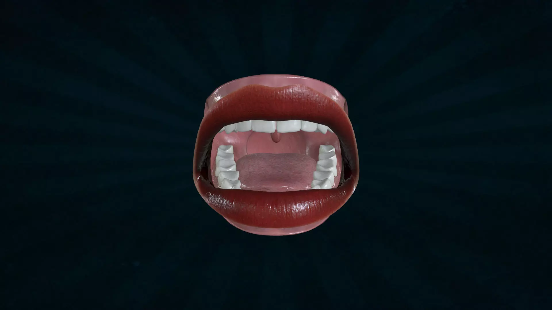 LIPS-005 Rigged Woman Mouth 3D model