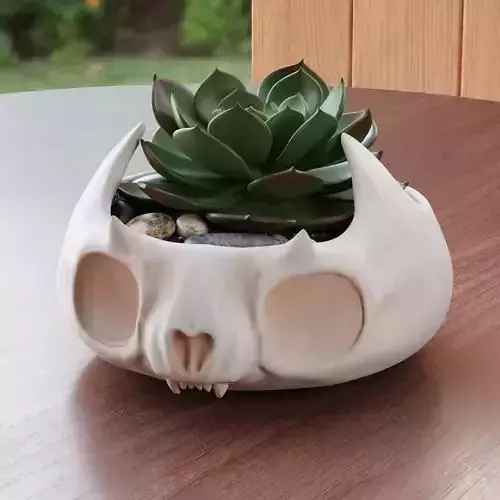 Cute skull pot plate