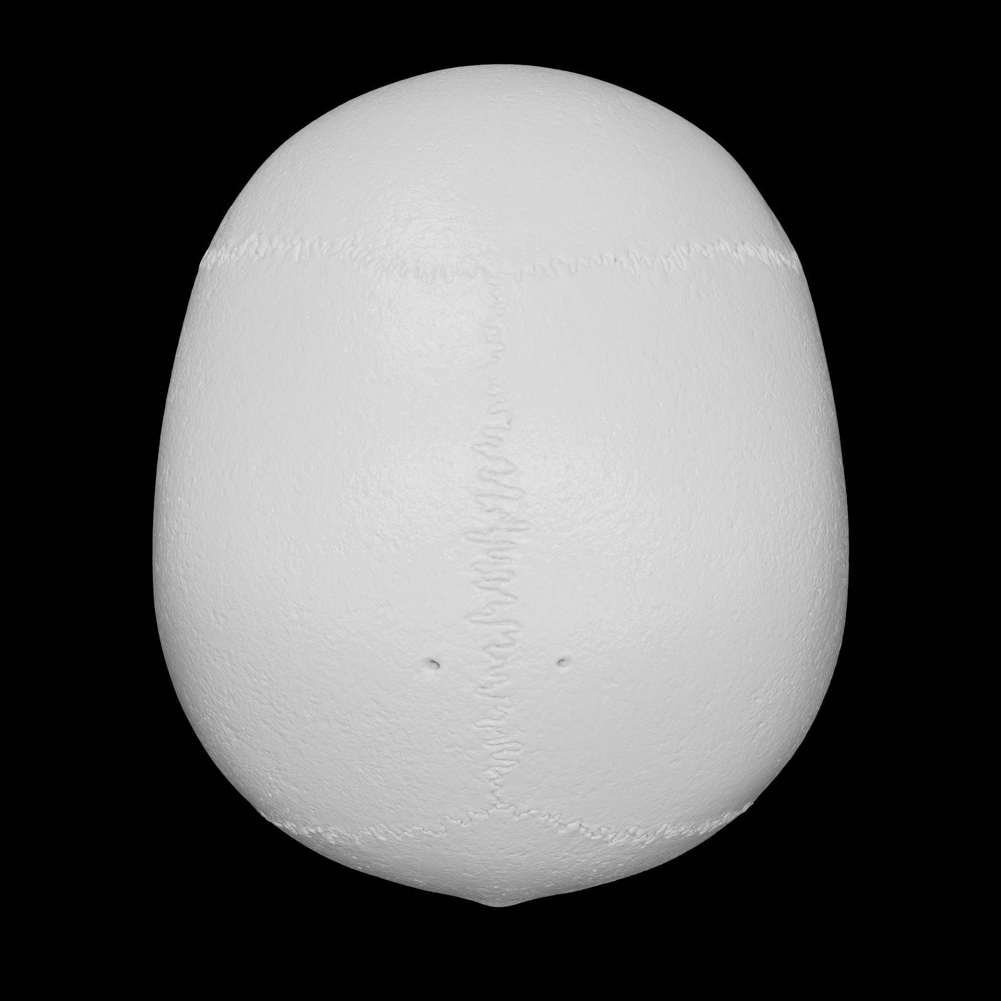 Cranium - Skull - C-Spine  3D print model_19