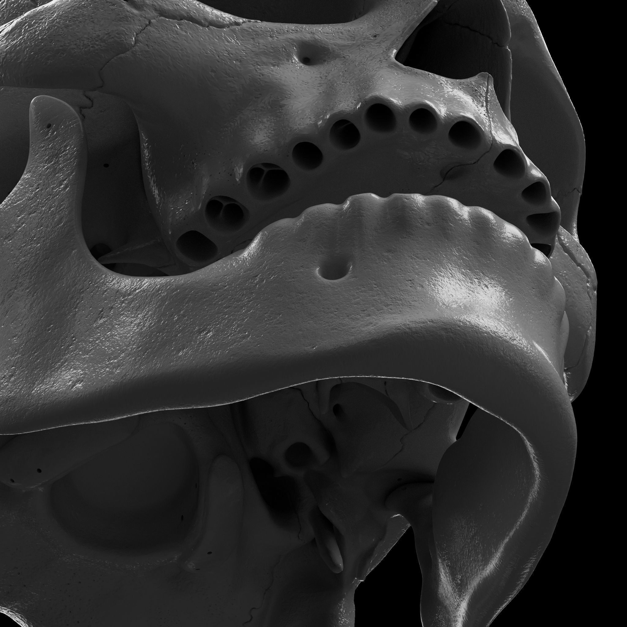 Cranium - Skull - C-Spine  3D print model_20