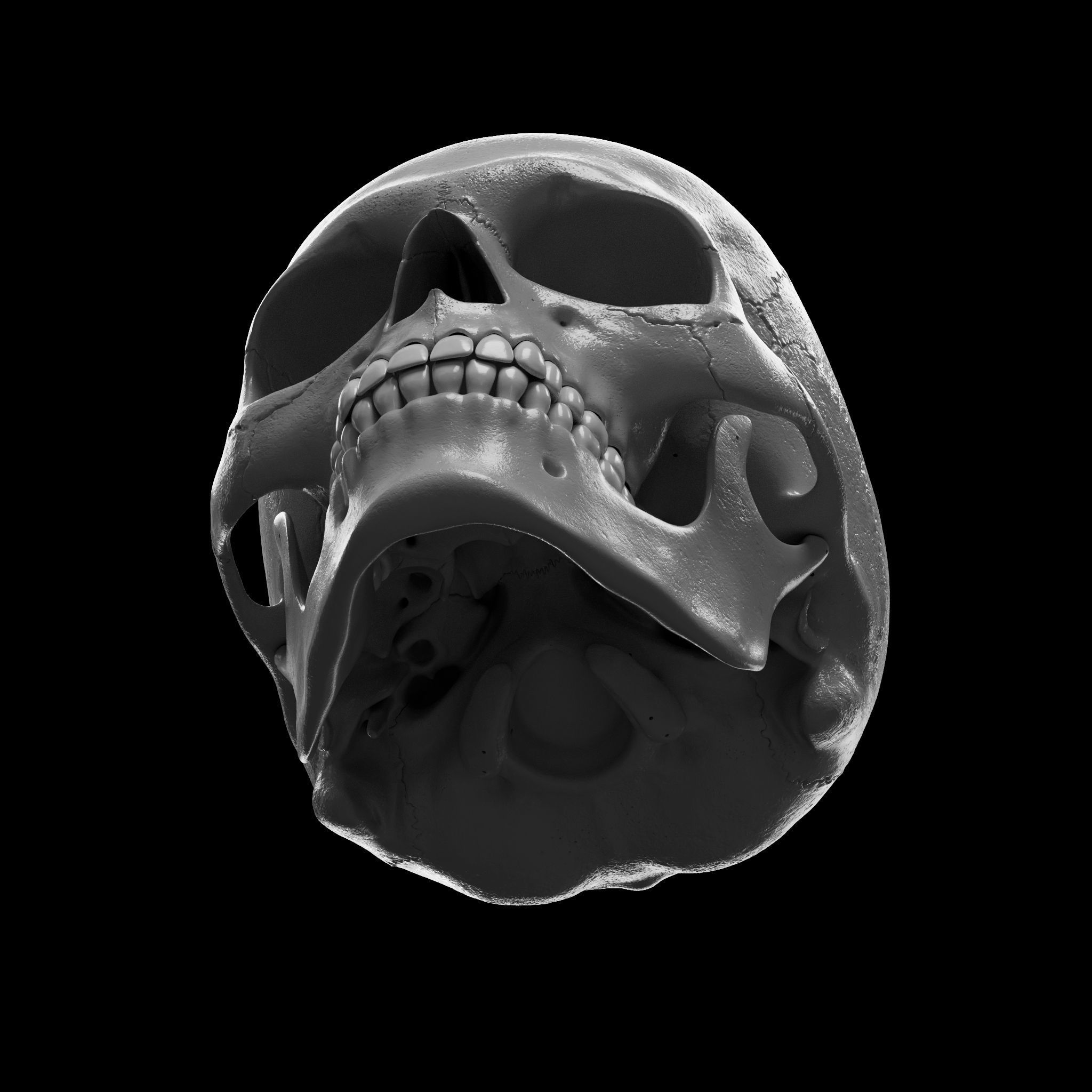 Cranium - Skull - C-Spine  3D print model_13