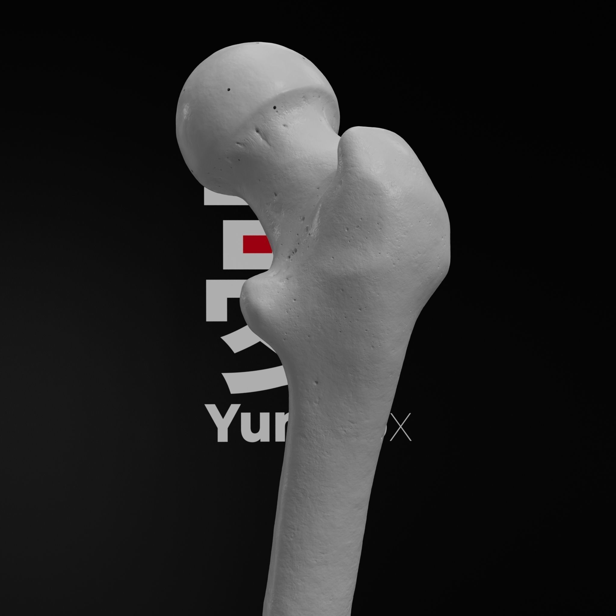 Human Rt Leg and Foot Bones 3D print model_73
