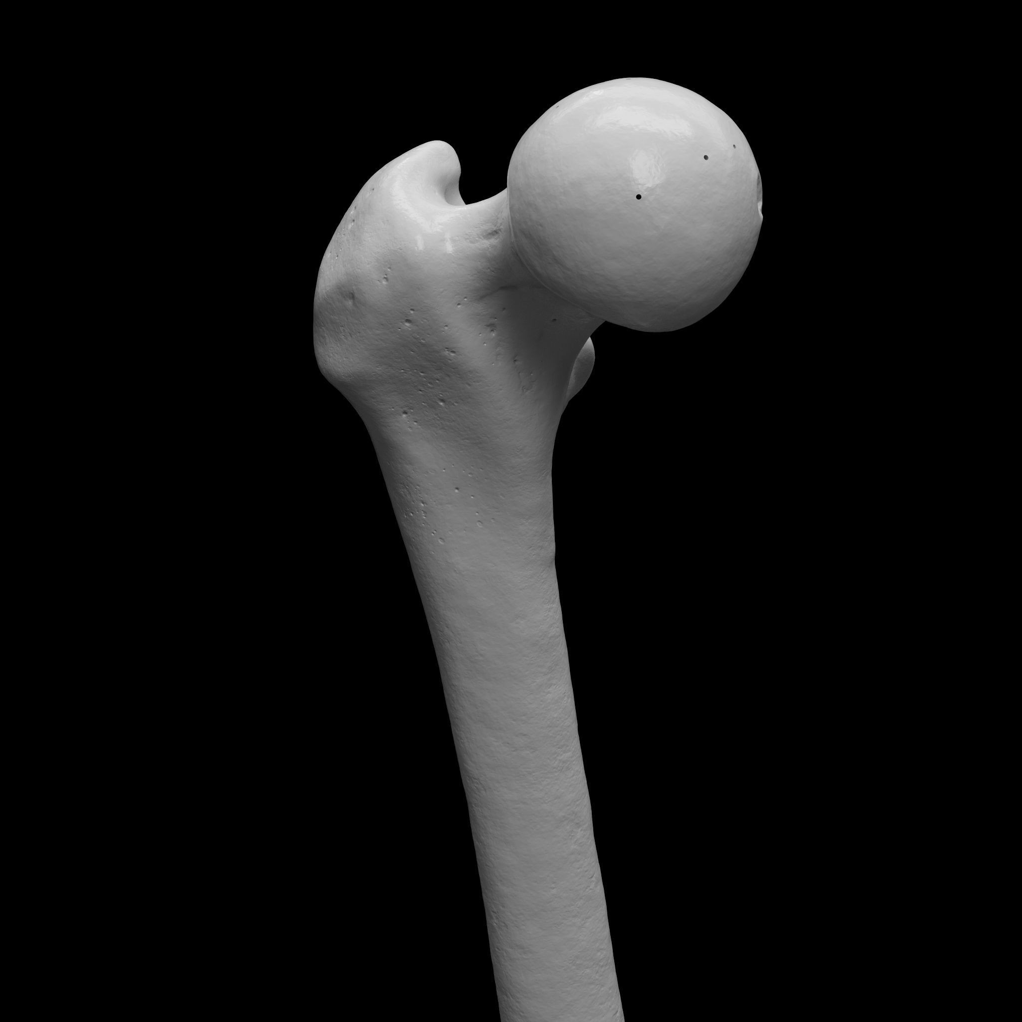 Human Rt Leg and Foot Bones 3D print model_11