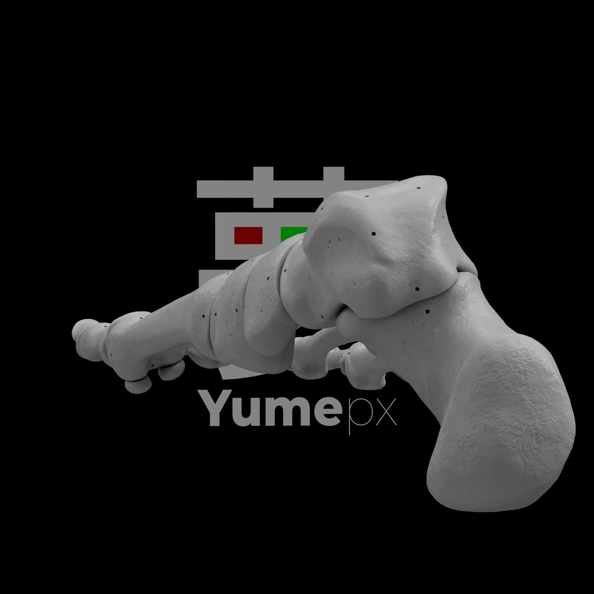 Human Rt Foot Bones 3D print model_25