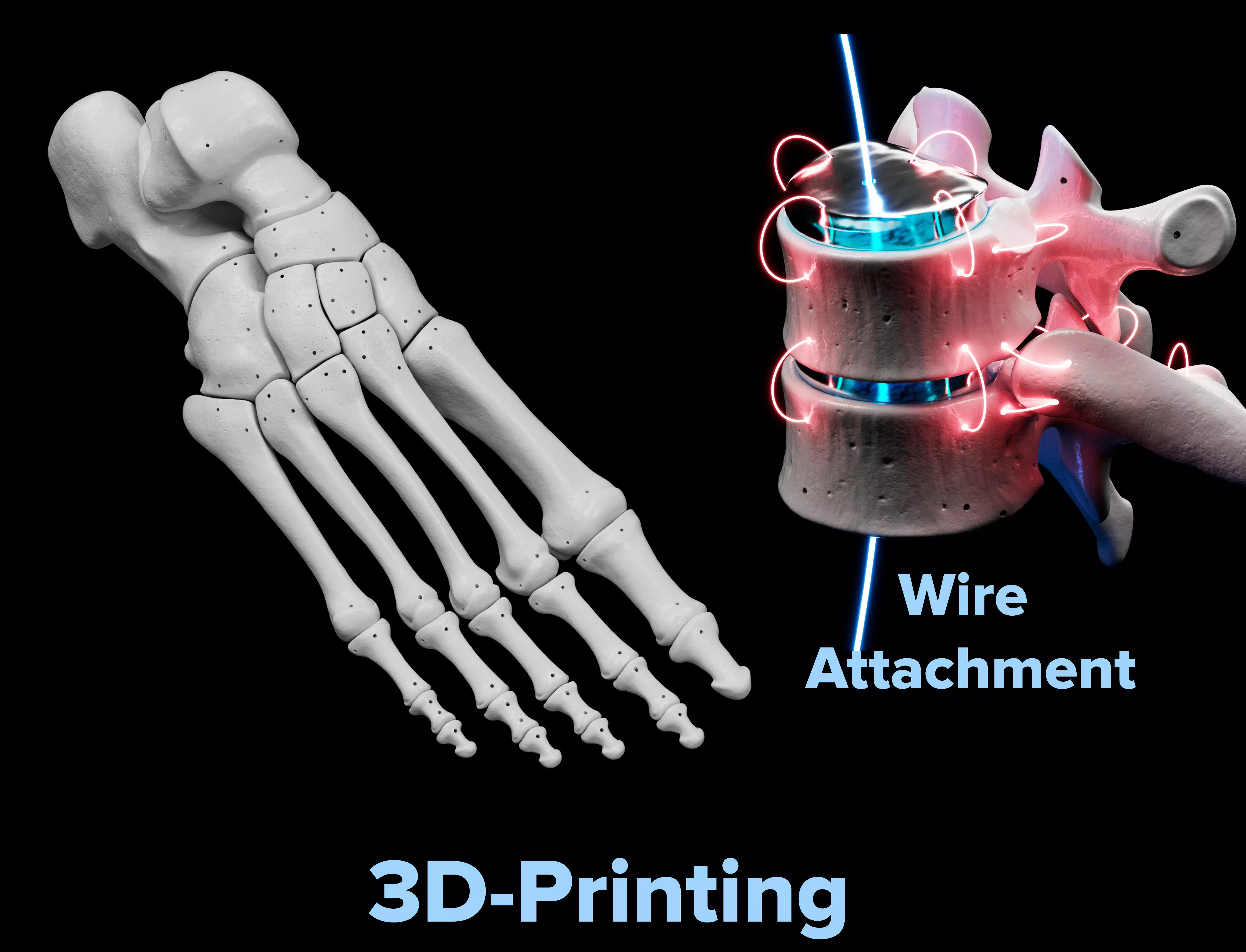Human Rt Foot Bones 3D print model_0