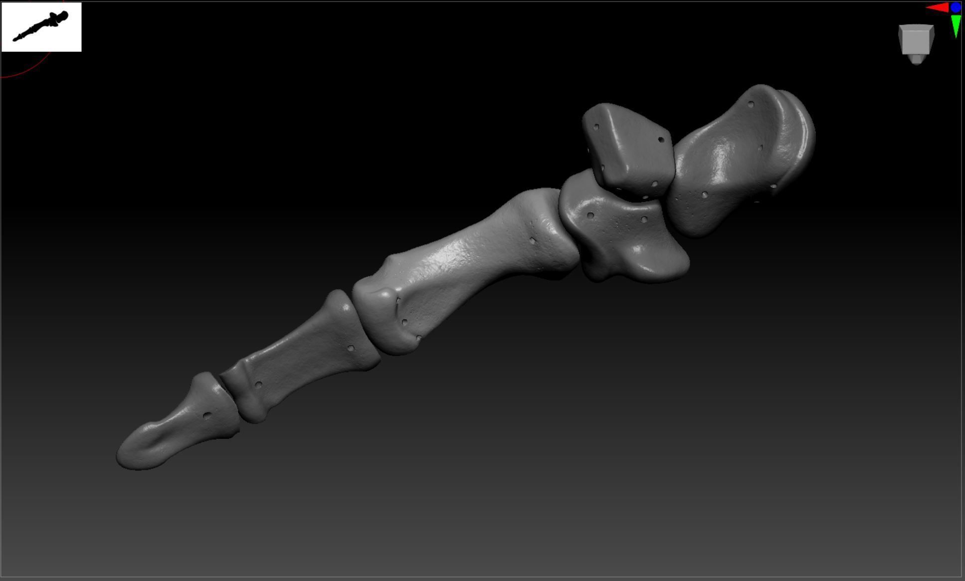 Wire attachment - 3D-Printing Skeletal System - PREVIEW Free 3D print model_8