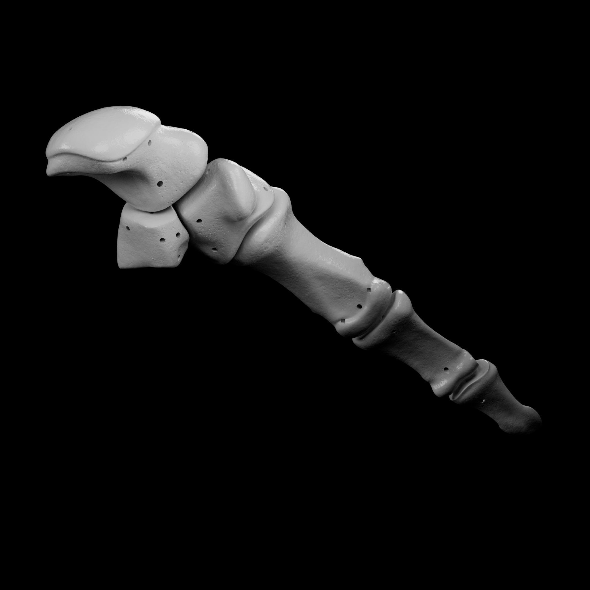 Wire attachment - 3D-Printing Skeletal System - PREVIEW Free 3D print model_4