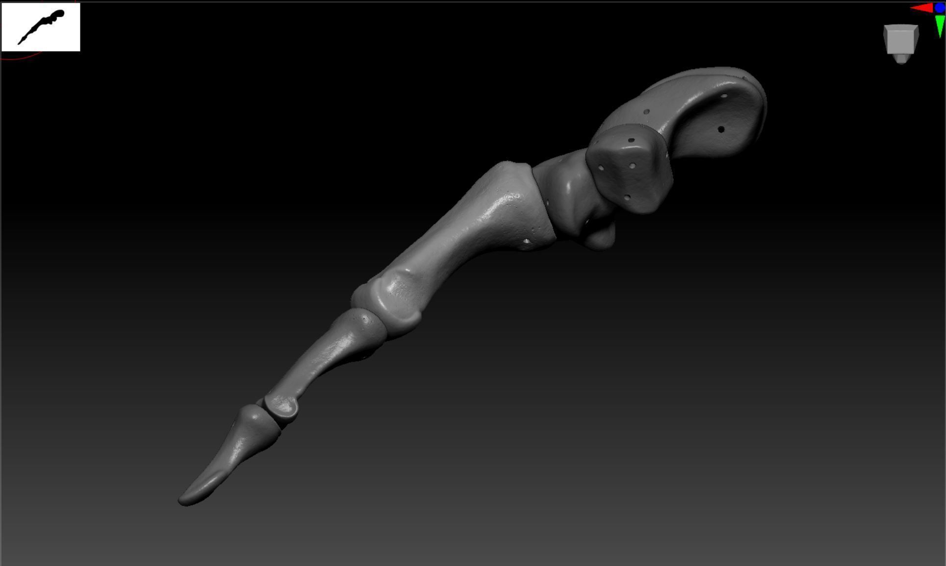 Wire attachment - 3D-Printing Skeletal System - PREVIEW Free 3D print model_7