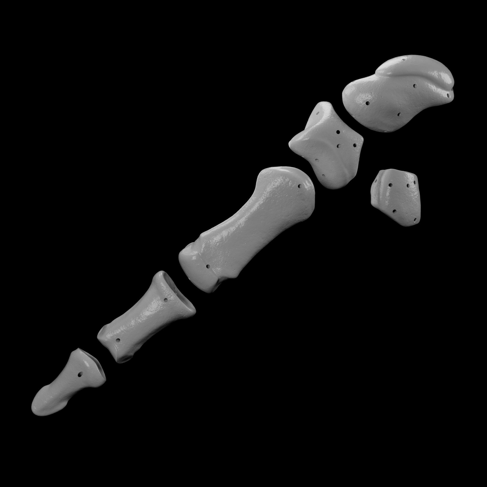 Wire attachment - 3D-Printing Skeletal System - PREVIEW Free 3D print model_5