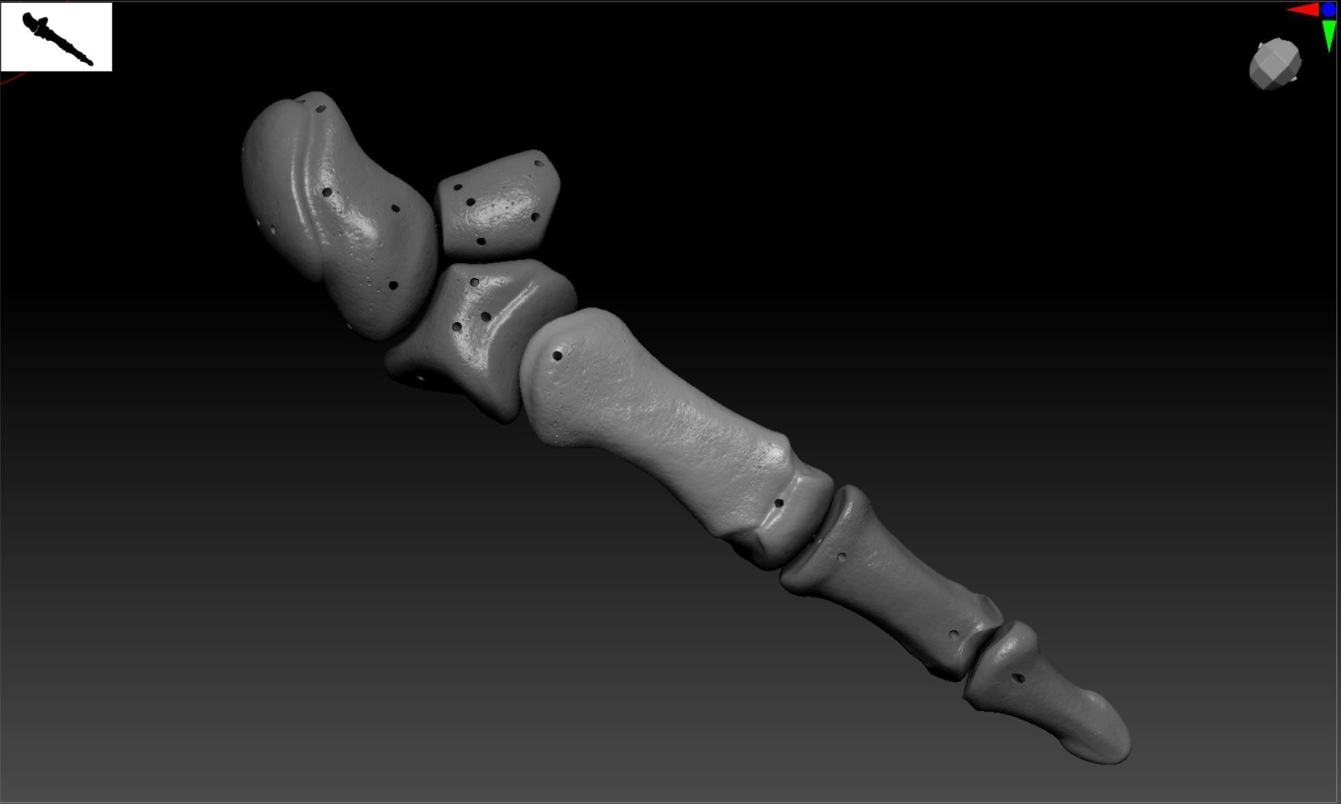 Wire attachment - 3D-Printing Skeletal System - PREVIEW Free 3D print model_6