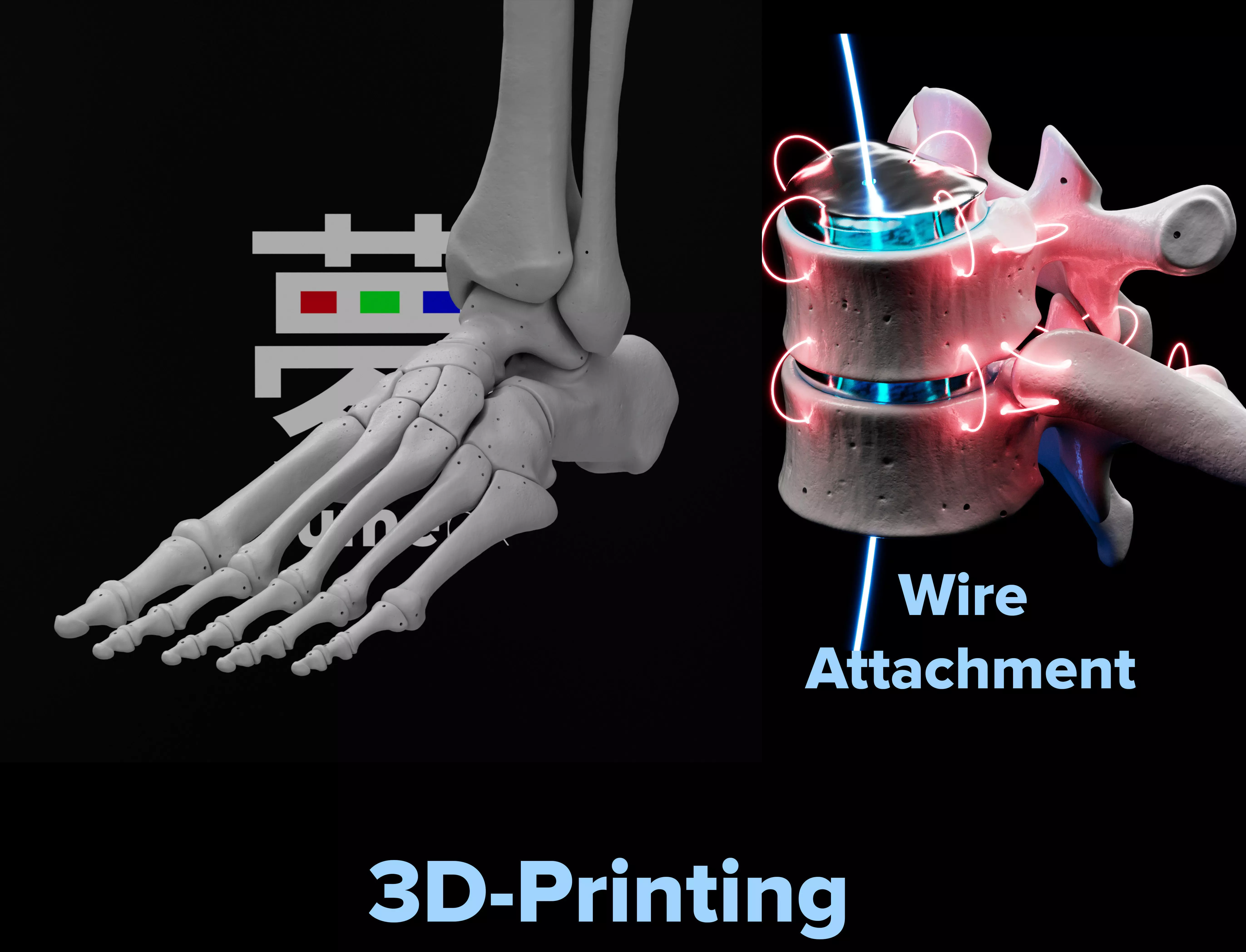 Human Lt Leg and Foot Bones 3D print model_0