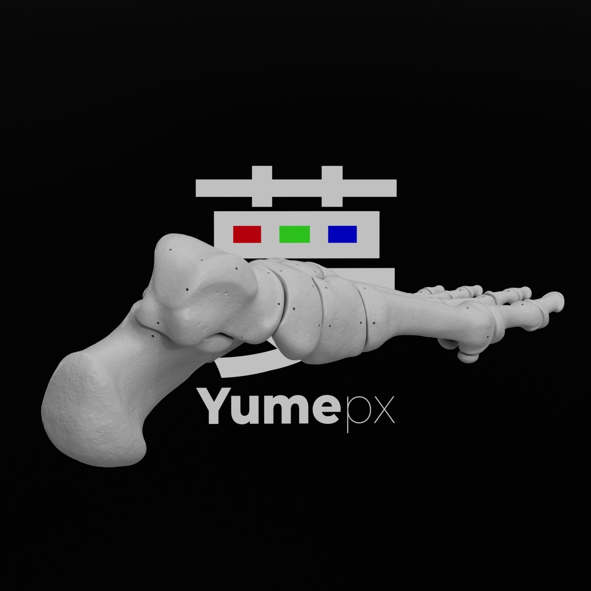 Human Lt Leg and Foot Bones 3D print model_5