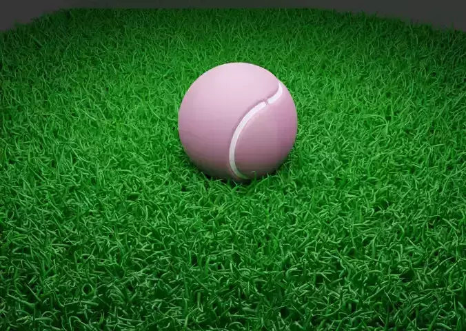 A Tennis Ball 