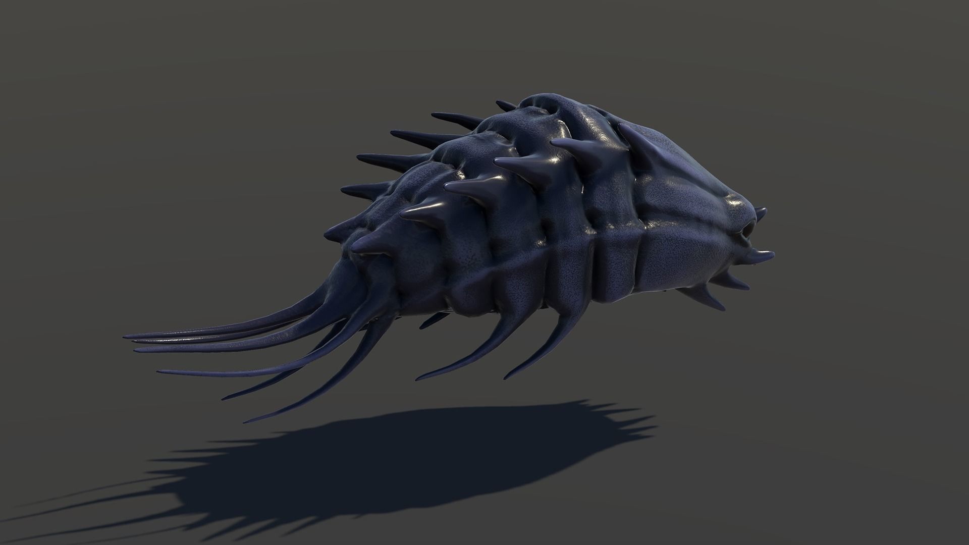 Sea creature1 - Game Ready Low-poly 3D model Low-poly 3D model_14