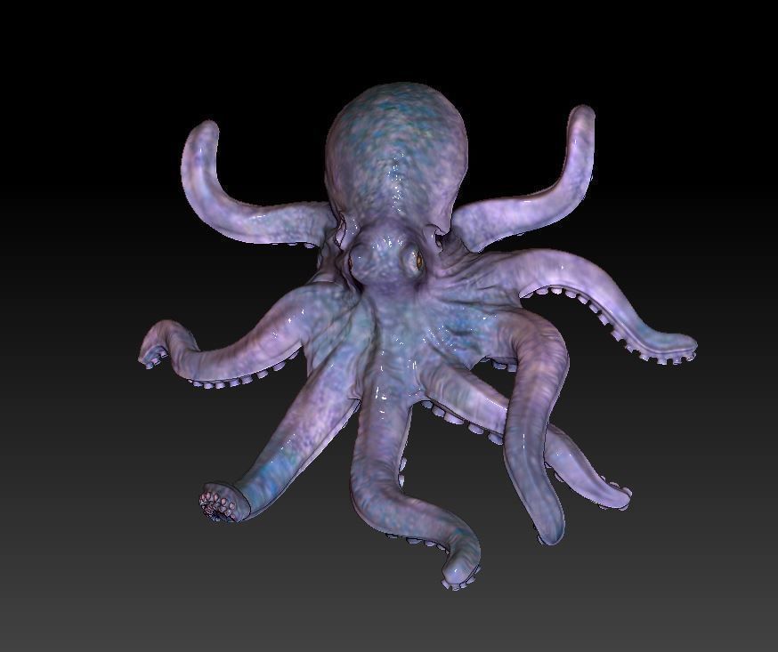 Octopus  3D print model_9