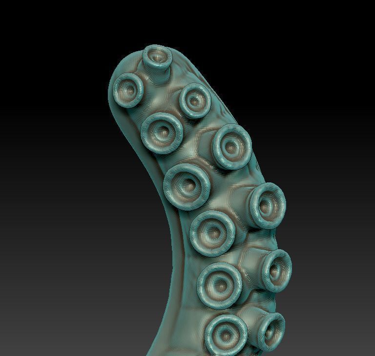 Octopus  3D print model_6