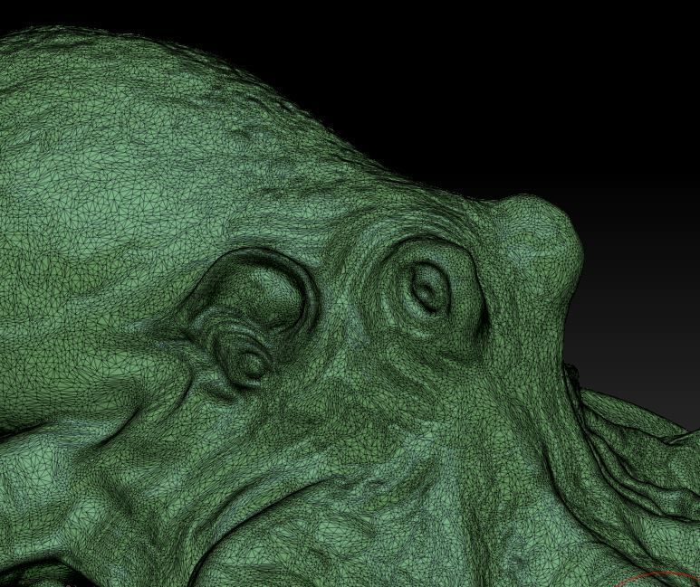 Octopus  3D print model_7