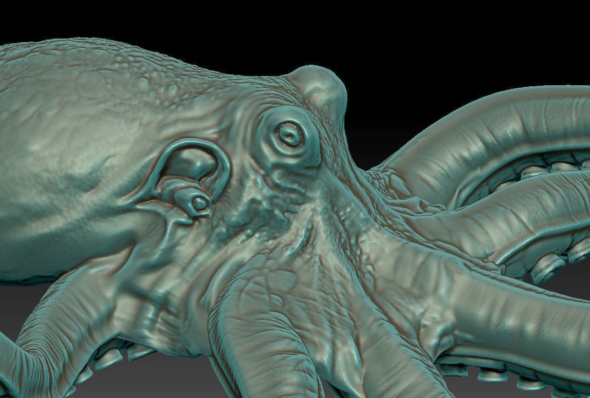 Octopus  3D print model_5