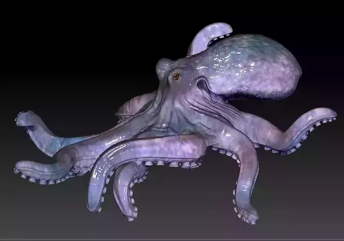 Octopus  3D print model Octopus  3D print model