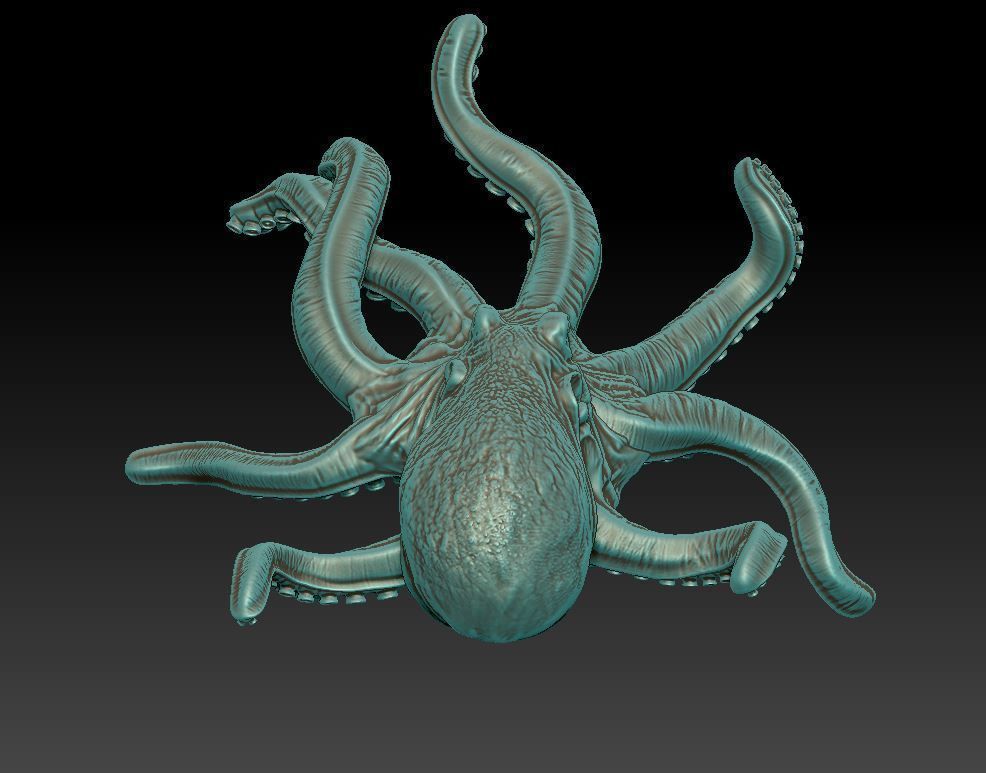 Octopus  3D print model_4