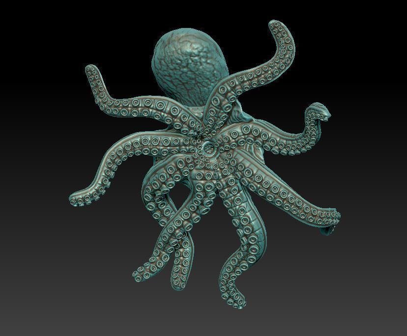 Octopus  3D print model_1