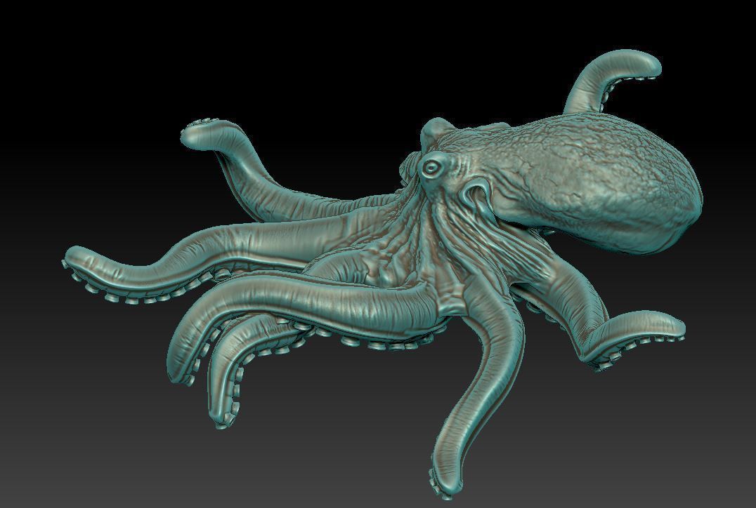 Octopus  3D print model_3