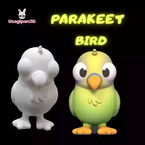 Parakeet Bird