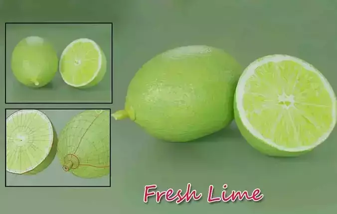 Lime 3D  Low-poly 3D model