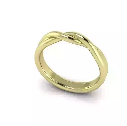 Ring Model 4255