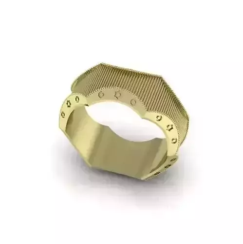 Ring Model 4231