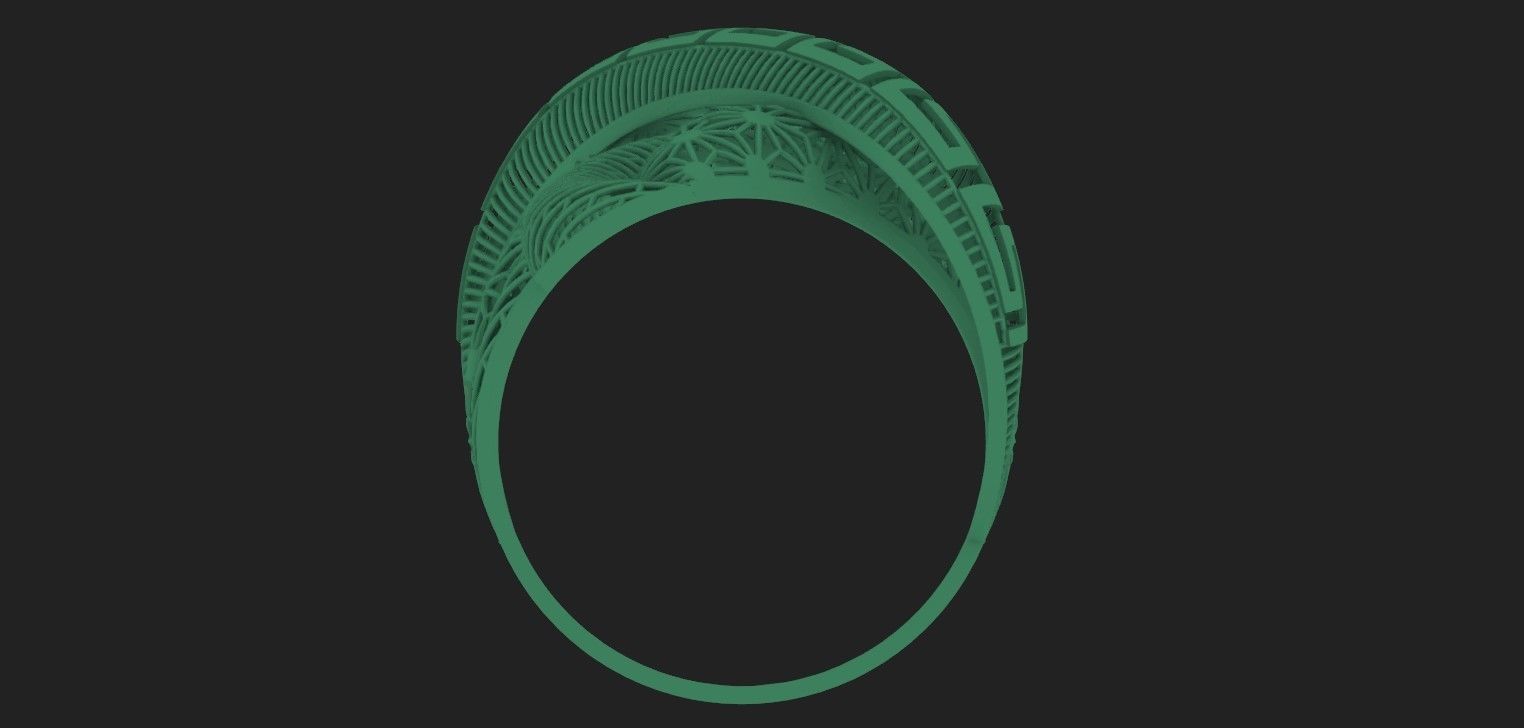 Fusion Ring 2 3D print model_1
