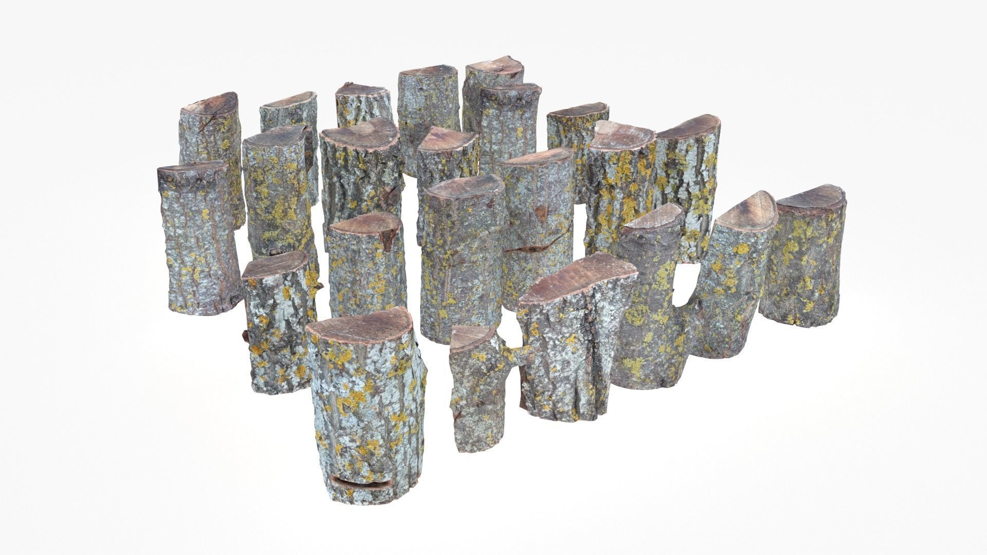 Wood Scan Pack Low-poly 3D model_7