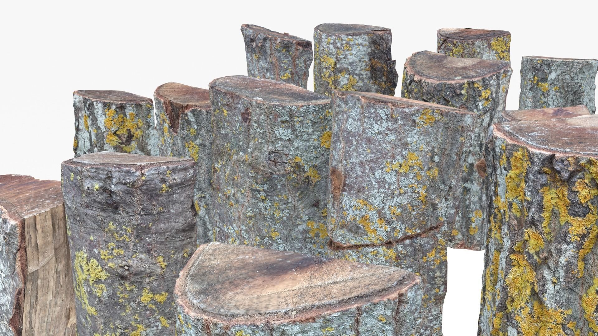 Wood Scan Pack Low-poly 3D model_10