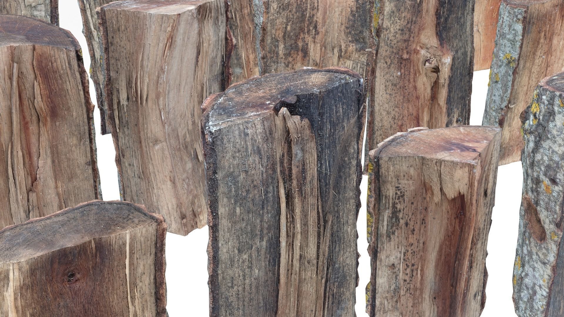 Wood Scan Pack Low-poly 3D model_6