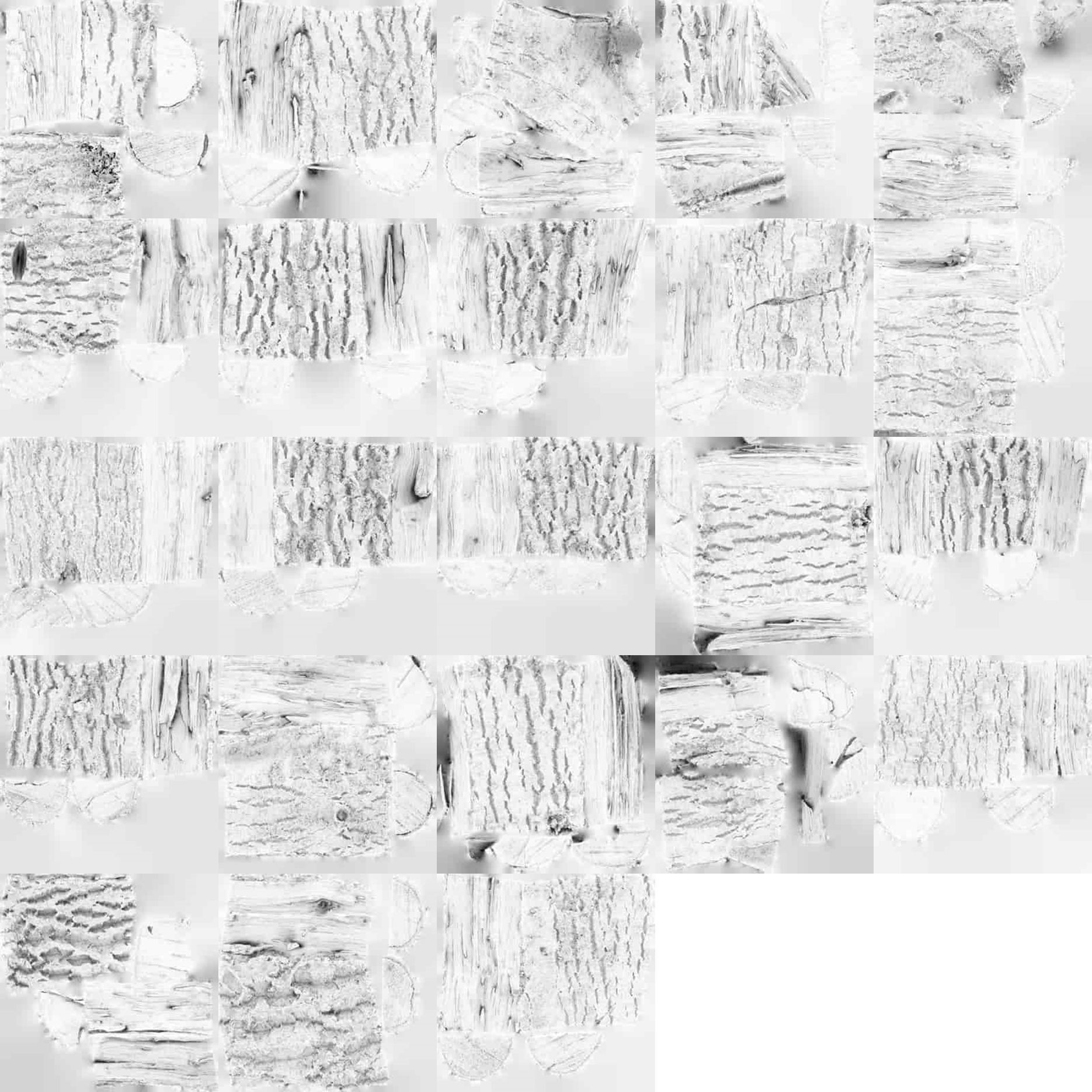 Wood Scan Pack Low-poly 3D model_31