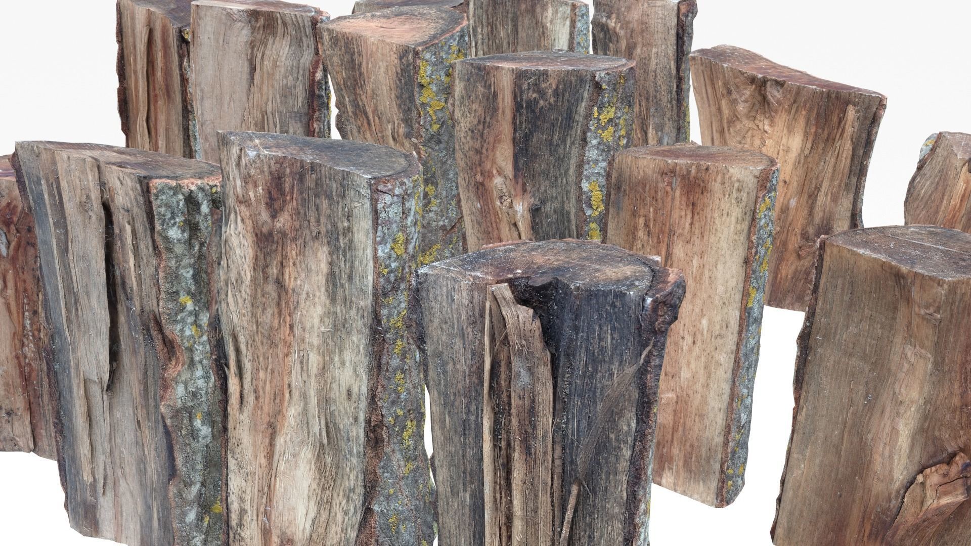 Wood Scan Pack Low-poly 3D model_5