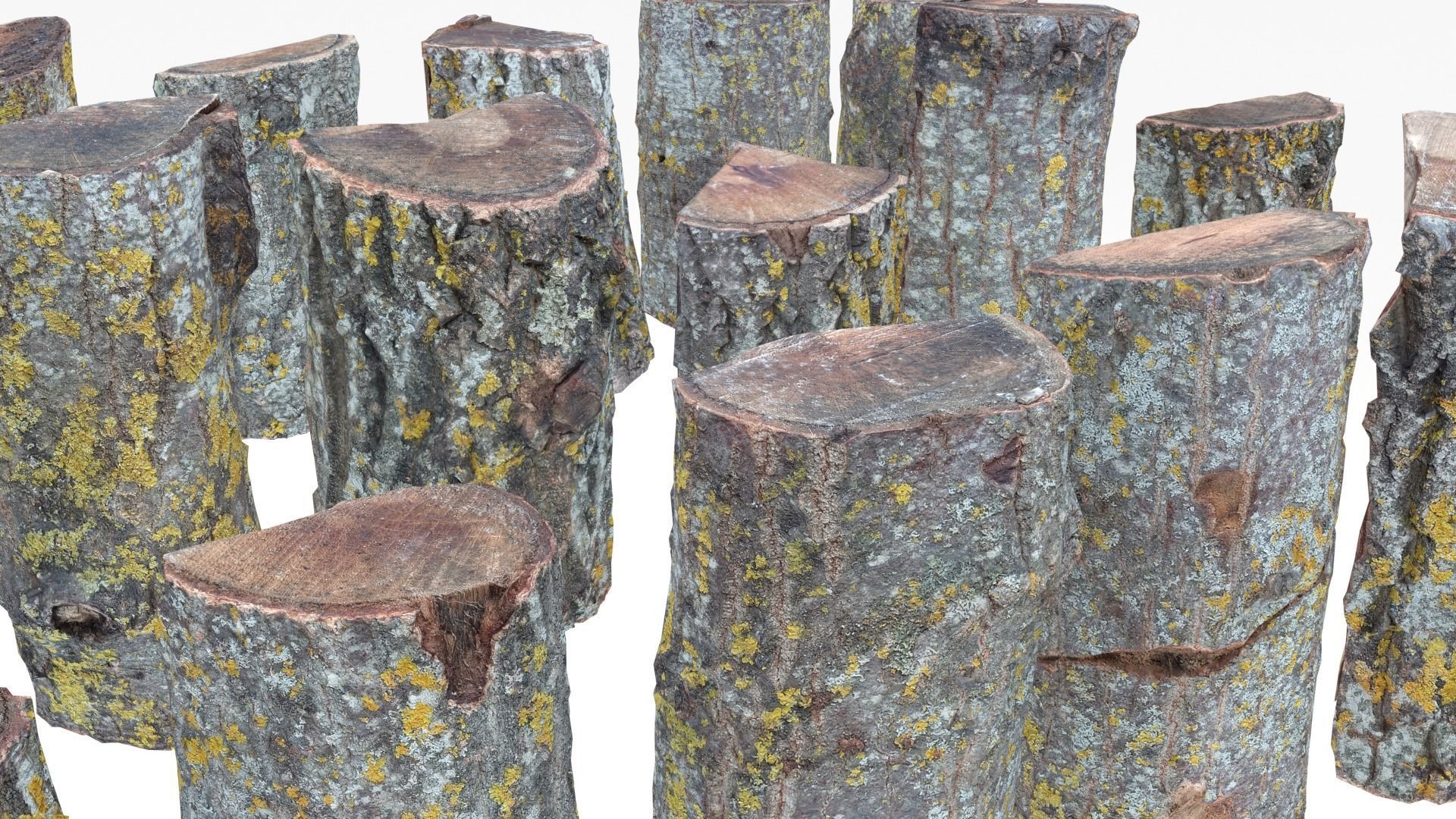 Wood Scan Pack Low-poly 3D model_9