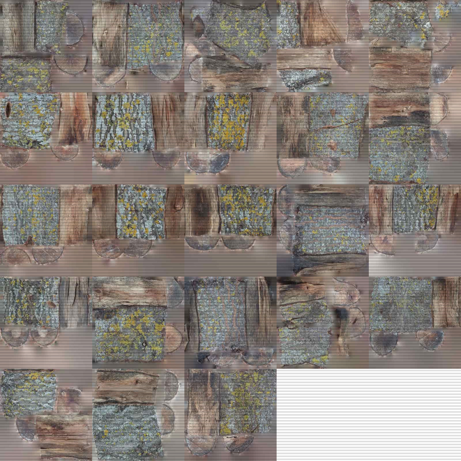 Wood Scan Pack Low-poly 3D model_29